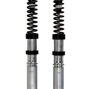FORLORN - Forlorn ヴァイキング Ohlins Racing FKR 229 Pressurized Cartridge Kit | Ducati Panigale